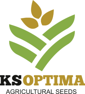 KSOptima - Agricultural seeds buy inexpensively in the European Union