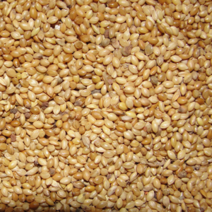 Millet red - Agricultural seeds buy inexpensively in the European Union